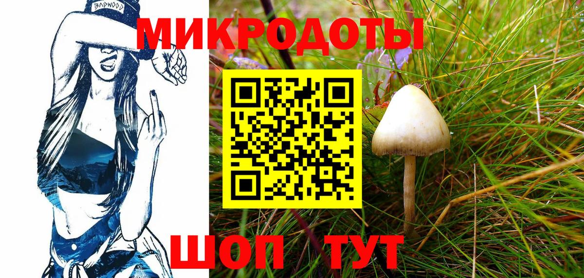 Псилоцибиновые грибы GOLDEN TEACHER Асино